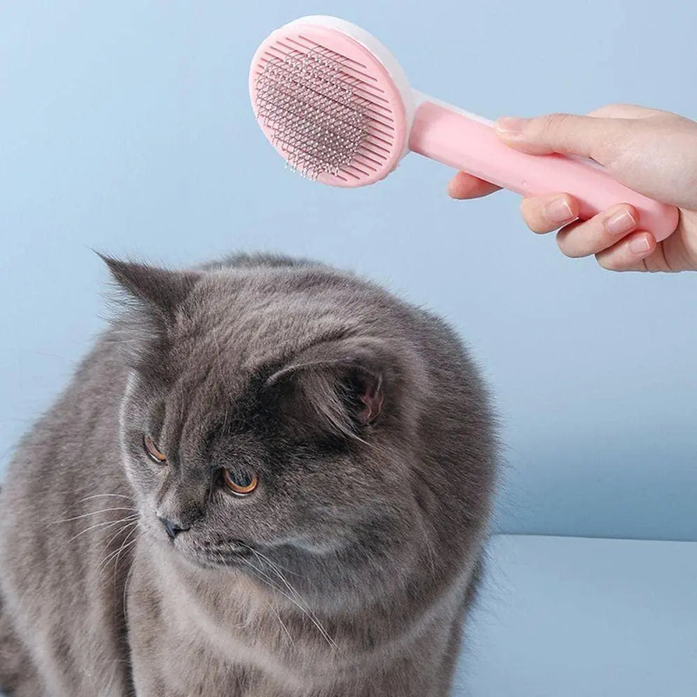 Pet Hair Removal Brush gyf29m-i4